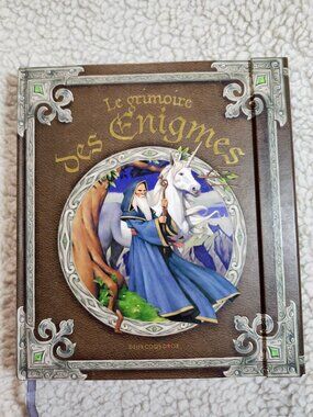 Le Grimoire des Enigmes Hardcover French Puzzle Book Hachette 2007 For Kids